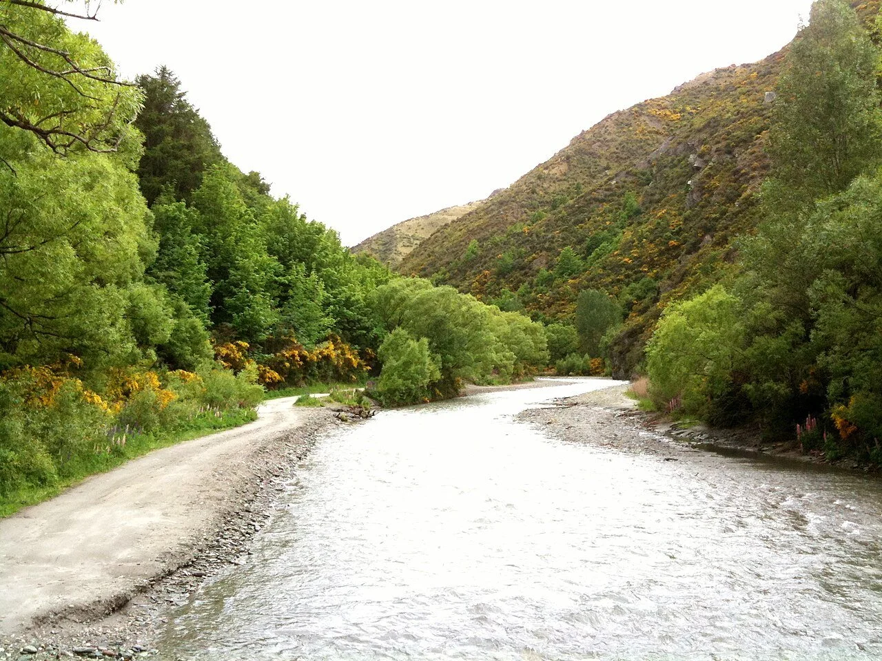 Mountain biking trails in Queenstown New Zealand