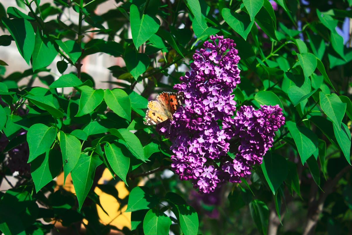 Colourful hillside houses overlooking the ocean, Valparaiso Chile